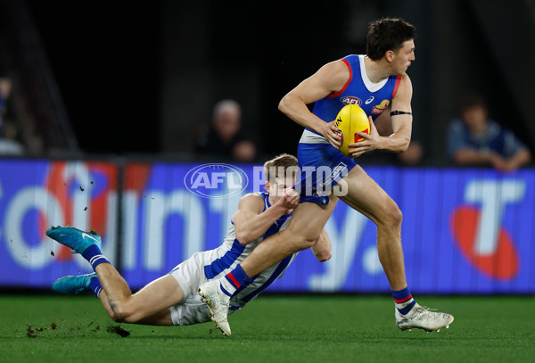 AFL 2024 Round 23 - Western Bulldogs v North Melbourne - A-53135719