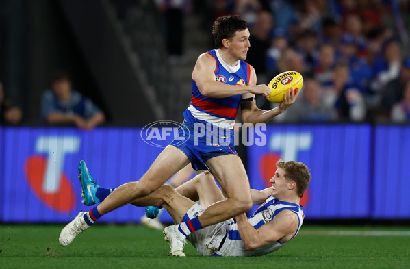 AFL 2024 Round 23 - Western Bulldogs v North Melbourne - A-53135720