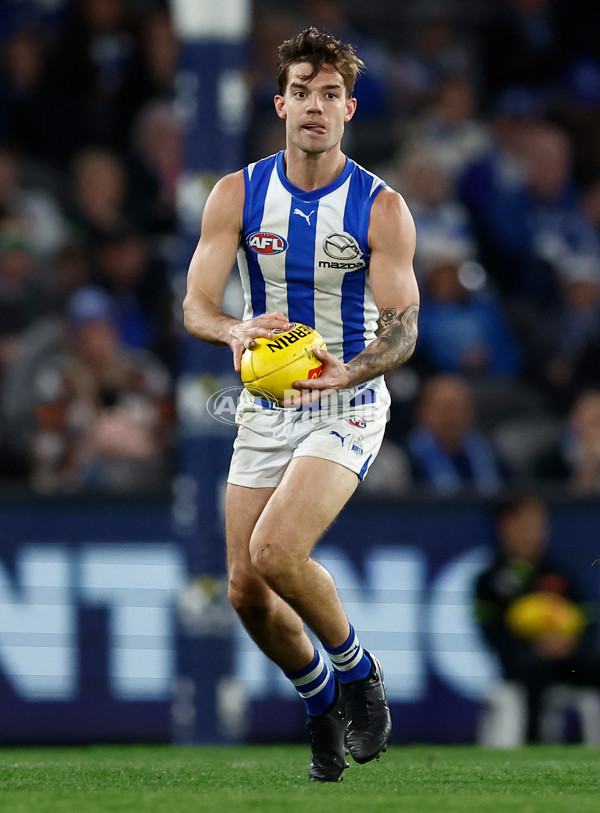 AFL 2024 Round 23 - Western Bulldogs v North Melbourne - A-53135721