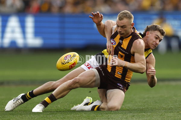 AFL 2024 Round 23 - Hawthorn v Richmond - A-53135727