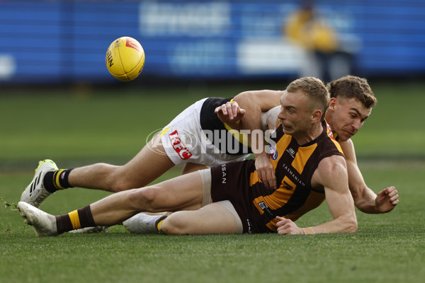 AFL 2024 Round 23 - Hawthorn v Richmond - A-53135729