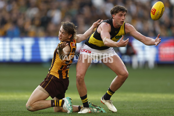 AFL 2024 Round 23 - Hawthorn v Richmond - A-53135730