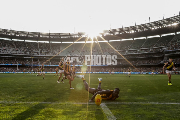 AFL 2024 Round 23 - Hawthorn v Richmond - A-53135762