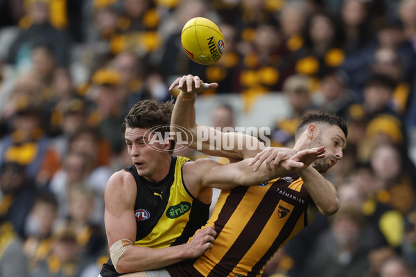 AFL 2024 Round 23 - Hawthorn v Richmond - A-53137620