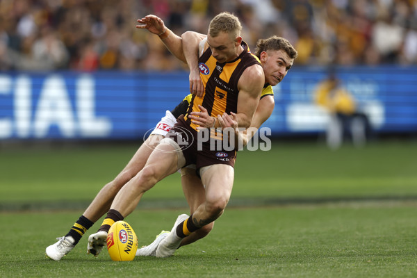 AFL 2024 Round 23 - Hawthorn v Richmond - A-53137645