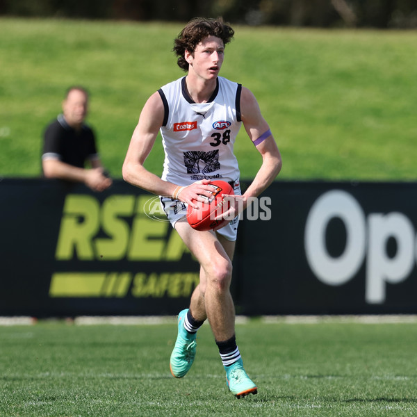 Coates League Boys 2024 Round 18 - Sandringham v Geelong - A-53137666