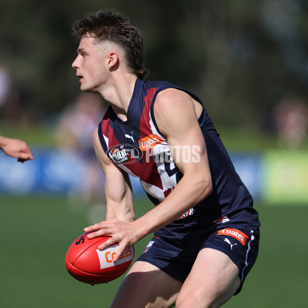 Coates League Boys 2024 Round 18 - Sandringham v Geelong - A-53137667