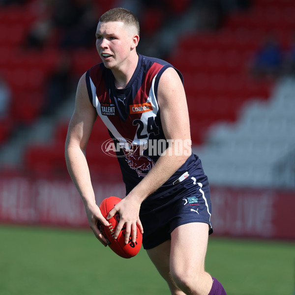 Coates League Boys 2024 Round 18 - Sandringham v Geelong - A-53137668