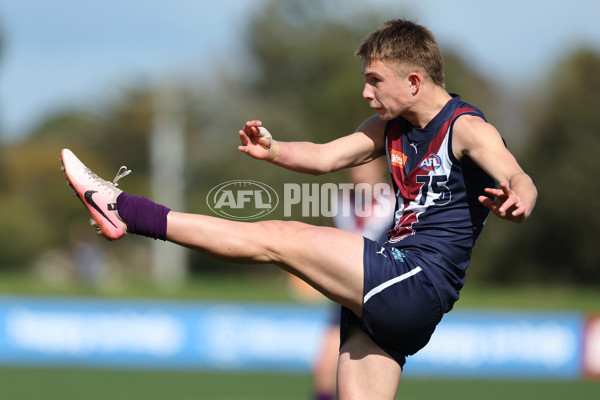 Coates League Boys 2024 Round 18 - Sandringham v Geelong - A-53138435