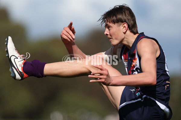 Coates League Boys 2024 Round 18 - Sandringham v Geelong - A-53138436