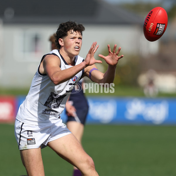 Coates League Boys 2024 Round 18 - Sandringham v Geelong - A-53138437