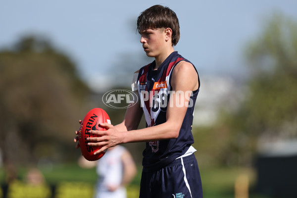 Coates League Boys 2024 Round 18 - Sandringham v Geelong - A-53138438