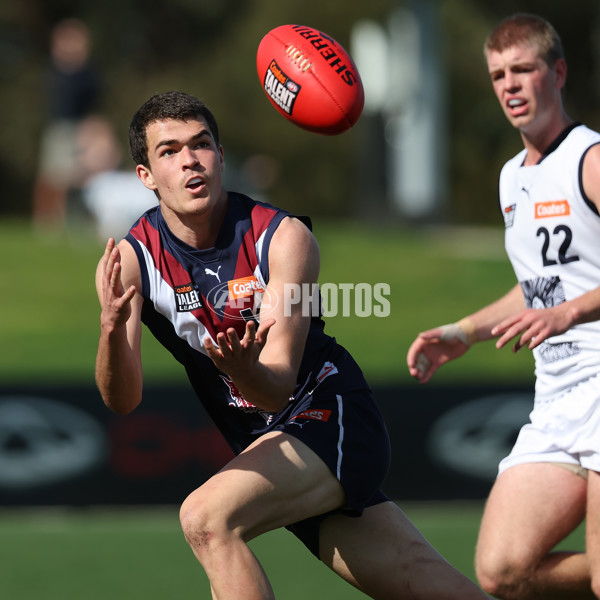 Coates League Boys 2024 Round 18 - Sandringham v Geelong - A-53138441