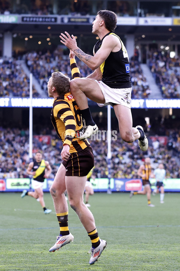 AFL 2024 Round 23 - Hawthorn v Richmond - A-53138488