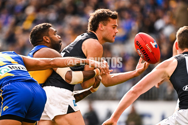 AFL 2024 Round 23 - West Coast v Carlton - A-53138491