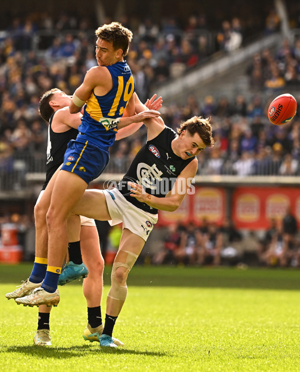 AFL 2024 Round 23 - West Coast v Carlton - A-53138494