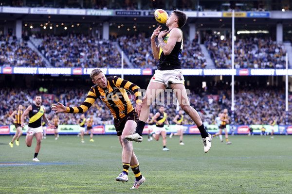 AFL 2024 Round 23 - Hawthorn v Richmond - A-53138513