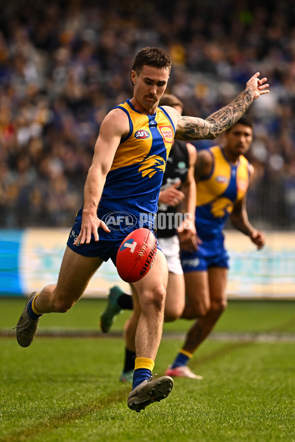 AFL 2024 Round 23 - West Coast v Carlton - A-53140148