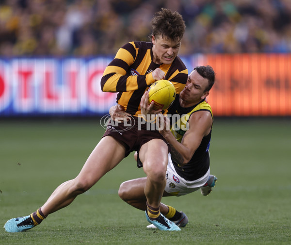 AFL 2024 Round 23 - Hawthorn v Richmond - A-53141309