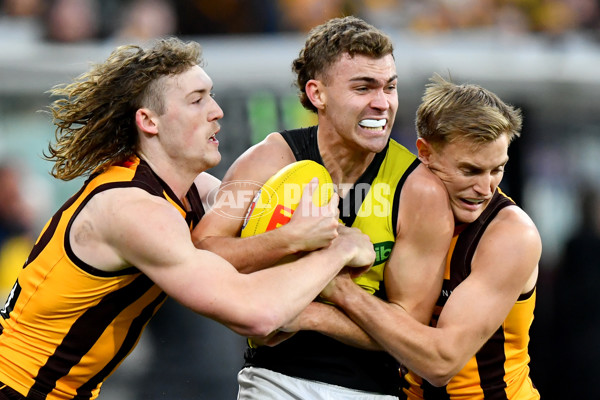 AFL 2024 Round 23 - Hawthorn v Richmond - A-53141317