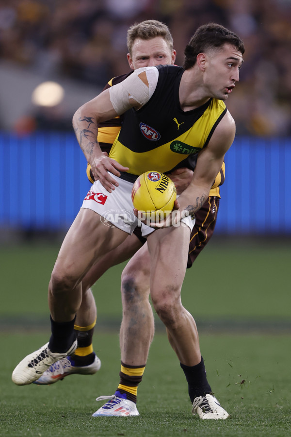 AFL 2024 Round 23 - Hawthorn v Richmond - A-53142768