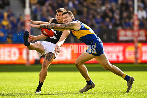 AFL 2024 Round 23 - West Coast v Carlton - A-53142797