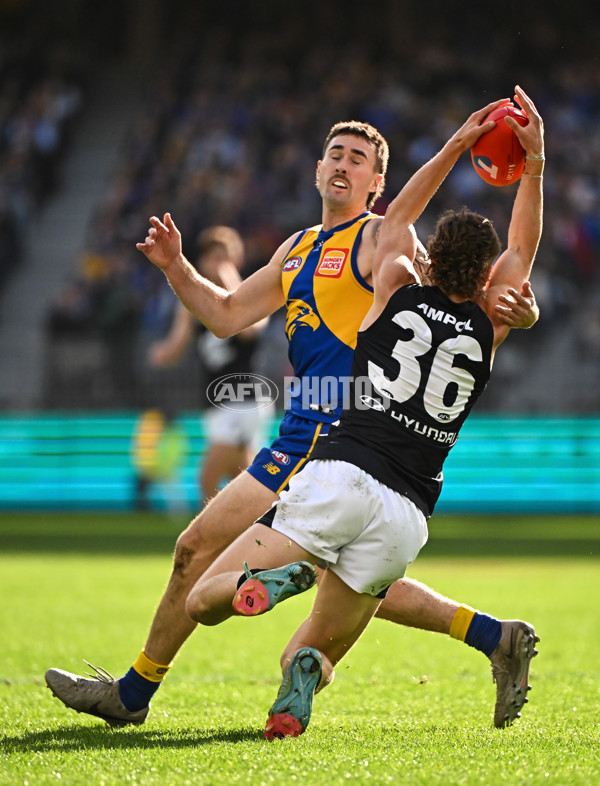 AFL 2024 Round 23 - West Coast v Carlton - A-53142802