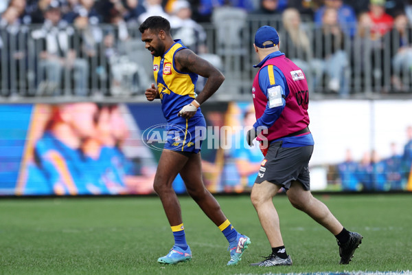 AFL 2024 Round 23 - West Coast v Carlton - A-53142832