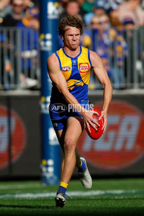 AFL 2024 Round 23 - West Coast v Carlton - A-53143724