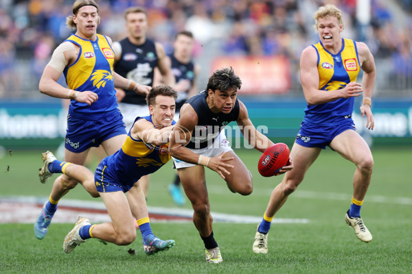 AFL 2024 Round 23 - West Coast v Carlton - A-53145516