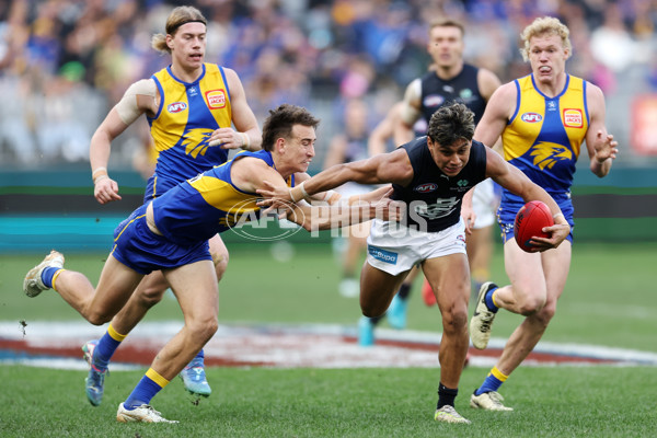 AFL 2024 Round 23 - West Coast v Carlton - A-53145556