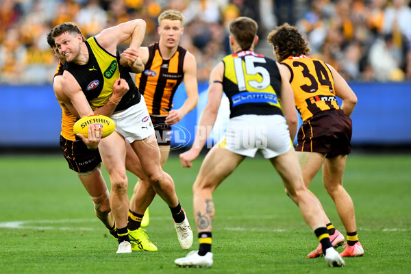 AFL 2024 Round 23 - Hawthorn v Richmond - A-53148251