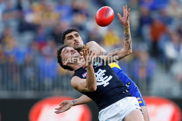 AFL 2024 Round 23 - West Coast v Carlton - A-53148283