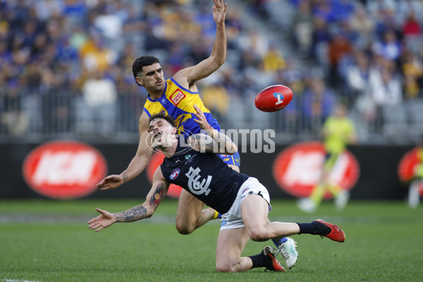 AFL 2024 Round 23 - West Coast v Carlton - A-53148285