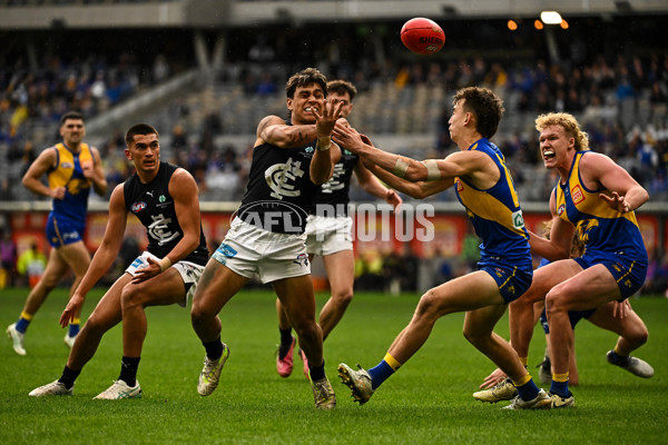 AFL 2024 Round 23 - West Coast v Carlton - A-53148790