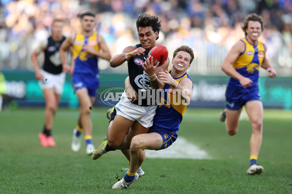 AFL 2024 Round 23 - West Coast v Carlton - A-53153587