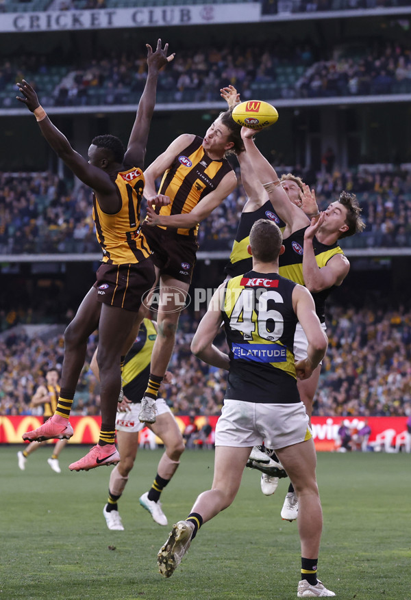 AFL 2024 Round 23 - Hawthorn v Richmond - A-53153609