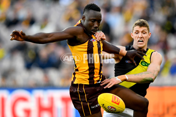 AFL 2024 Round 23 - Hawthorn v Richmond - A-53153780