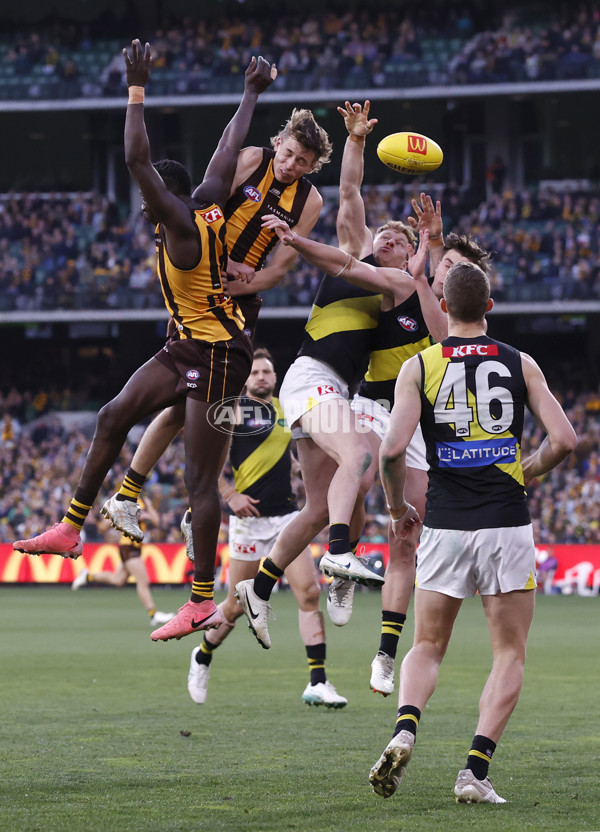 AFL 2024 Round 23 - Hawthorn v Richmond - A-53153804