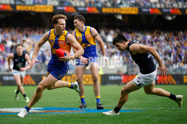 AFL 2024 Round 23 - West Coast v Carlton - A-53156253