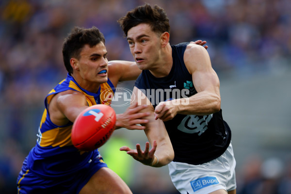 AFL 2024 Round 23 - West Coast v Carlton - A-53156261