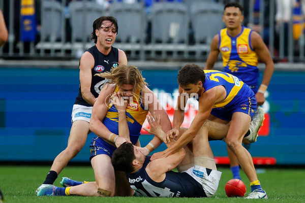 AFL 2024 Round 23 - West Coast v Carlton - A-53156265