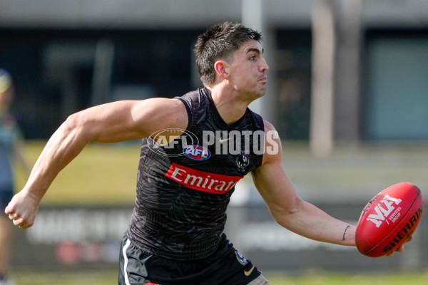 AFL 2024 Training - Collingwood 150824 - A-53156276