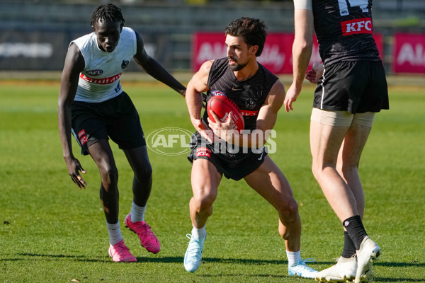 AFL 2024 Training - Collingwood 150824 - A-53156277