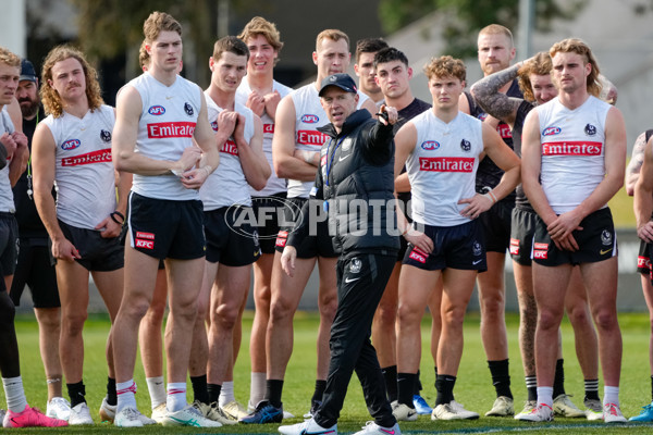 AFL 2024 Training - Collingwood 150824 - A-53156278