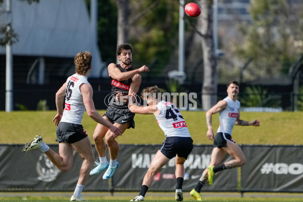 AFL 2024 Training - Collingwood 150824 - A-53156279