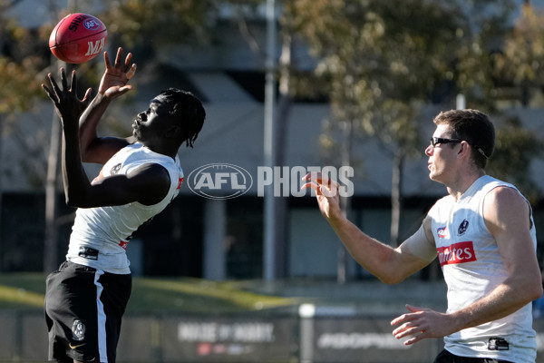 AFL 2024 Training - Collingwood 150824 - A-53156284