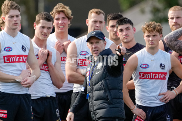 AFL 2024 Training - Collingwood 150824 - A-53156287