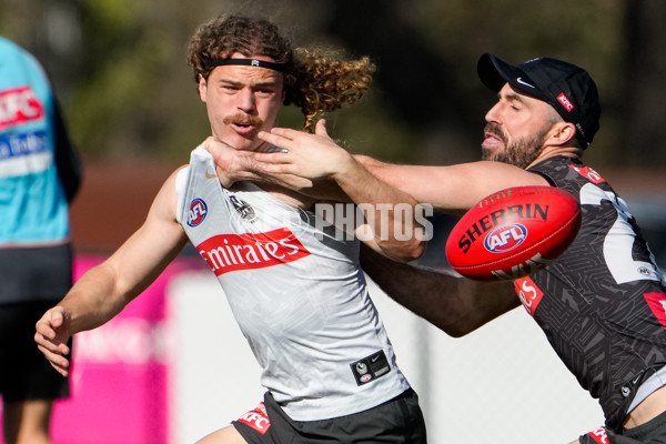 AFL 2024 Training - Collingwood 150824 - A-53156289