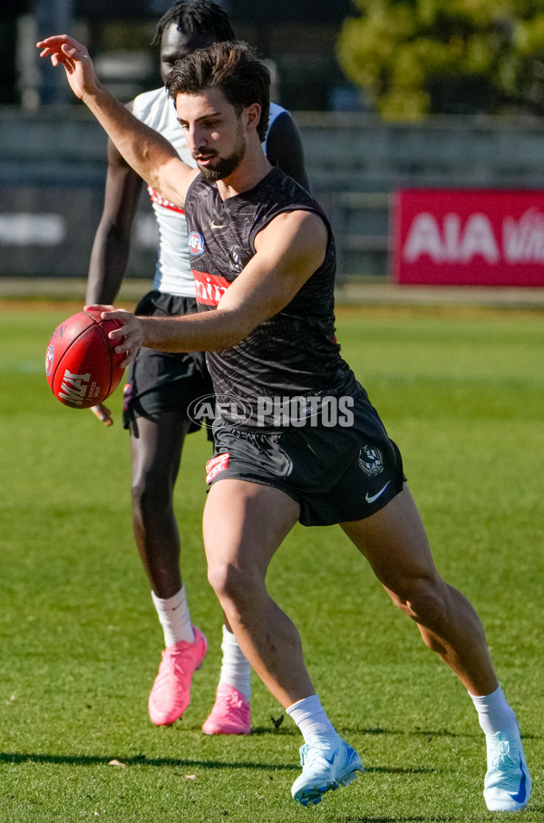 AFL 2024 Training - Collingwood 150824 - A-53156848